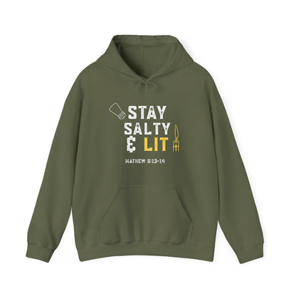 “Stay Salty & Lit” Religious Hoodie – Unisex Pullover for Fire-Filled Faith
